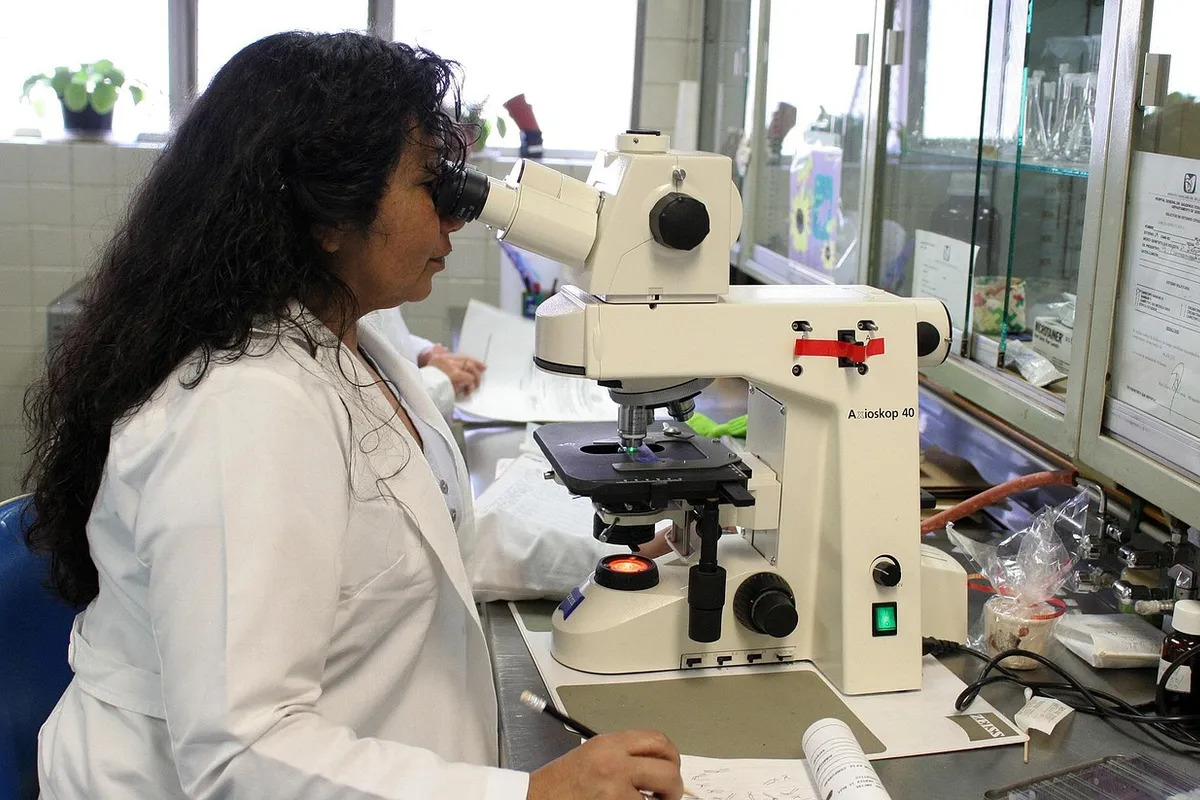 An embryologist looking into a microscope